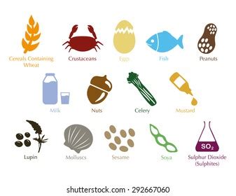 Allergens Information Vector Symbols Set Stock Vector (Royalty Free) 292667060 | Shutterstock