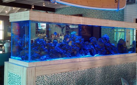 Fish tank with stone front - DBC Millwork