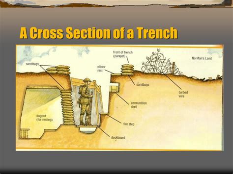 Mariana Trench Cross Section