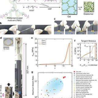 (PDF) Module‐Assembled Elastomer Showing Large Strain Stiffening Capability and High Stretchability