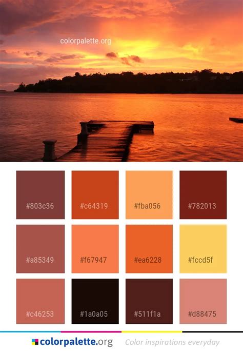 Afterglow Sky Sunset Color Palette | colorpalette.org