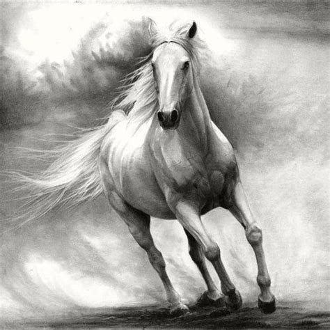 طرح نقاشی اسب | Horse drawing, Horse drawings, Horse art