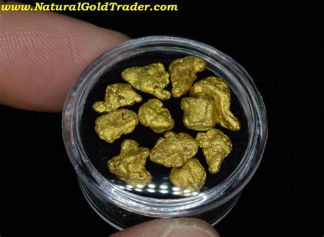 8.01 Grams (11) California Placer Gold Nuggets