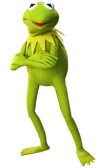 Kermit The Frog Angry