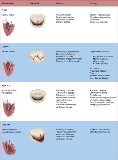 Pin on mitral valve