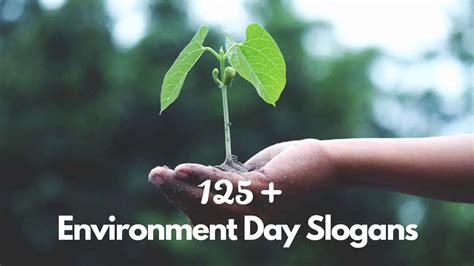 125+ Latest & Catchy Environment Day Slogans (2023)