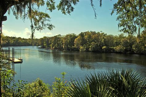 Suwannee River Florida Photograph by Wayne Denmark