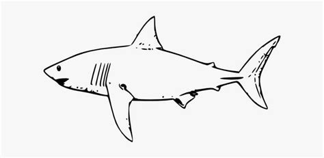 Great White Shark Clipart