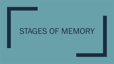 Stages of Memory. - ppt download