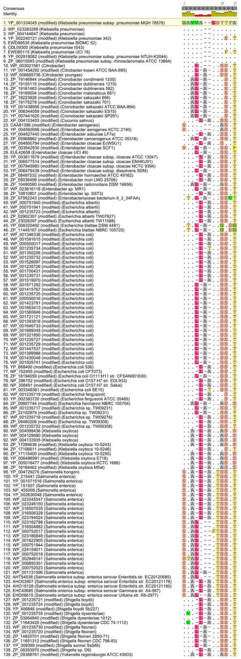 Homology of linear epitope sequence GAVVALSTFFA of KPN_00363. The... | Download Scientific Diagram