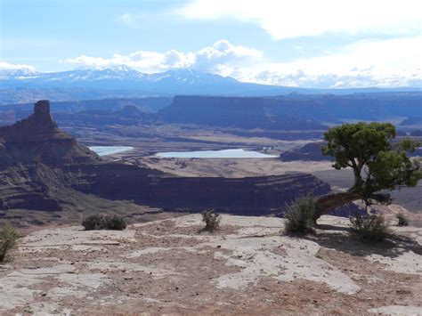 Dead Horse Point Rim Hiking Trails | Utah State Parks