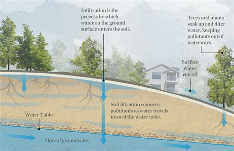 Two-minute takeaway: What is Infiltration? — The Nature Conservancy in ...