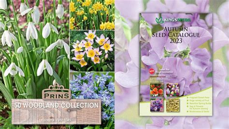 Kings Seeds' brand new Autumn Catalogue | Kitchen Garden Magazine