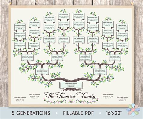 Family Tree Template for 5 Generations. Branched Timmi Genealogy Family Tree. Family Tree Chart ...