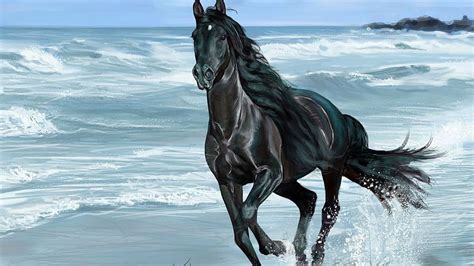 Seni Lukis Kuda Hitam Berlari Di Pantai - Black Horse On Wallpaper HD | Pxfuel