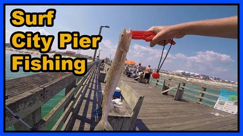 SURF CITY PIER FISHING - YouTube