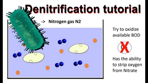 How does denitrification work and simultaneous nitrification ...