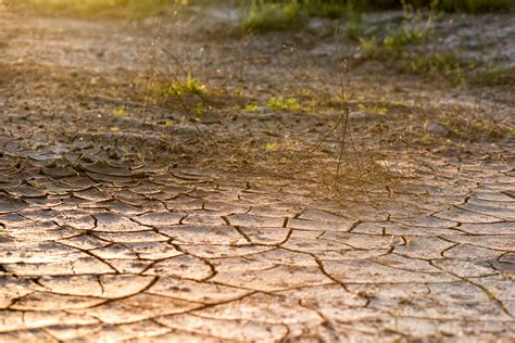 Free stock photo of cracked ground, desert, dirt