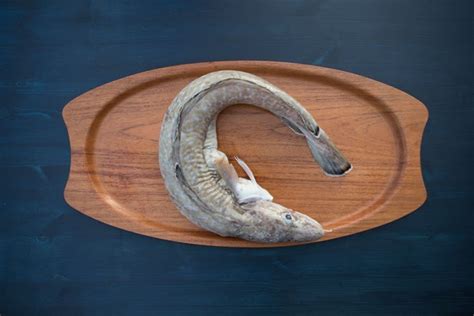 Common ling (Molva molva) - Seafood from the Faroe Islands