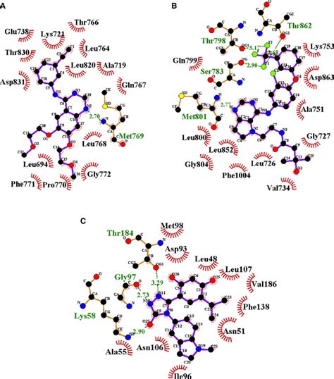 (A) epidermal growth factor receptor (egFr) tyrosine kinase domain with... | Download Scientific ...