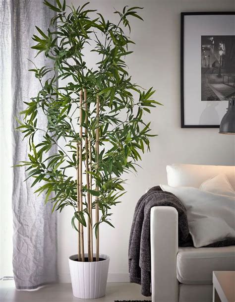 ≫ Plantas Artificiales Decorativas Para Interiores > Comprar, Precio y ...