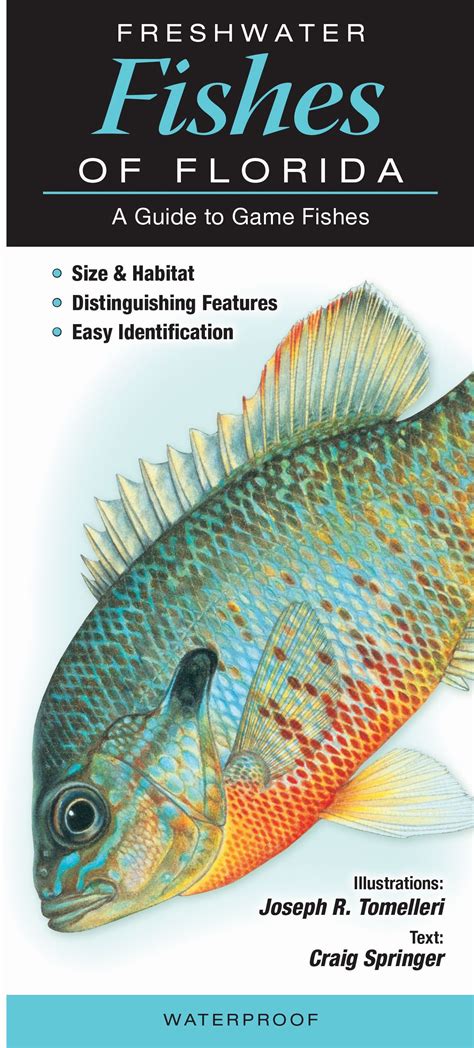 Freshwater Fishes of Florida – Quick Reference Publishing Wholesale