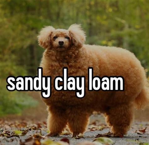 sandy clay loam | Mulch Gang for Life | Know Your Meme