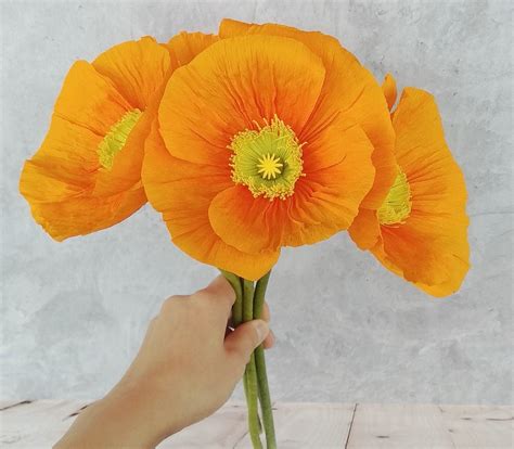 California poppy bouquet Orange poppy flower Poppy | Etsy