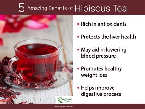 Roselle Benefits and Side Effects - SarahtaroGates