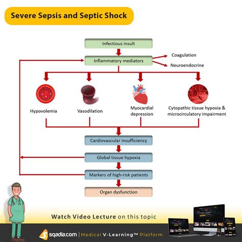 4 Stages Of Septic Shock