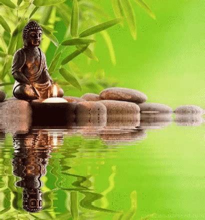 Zen Meditation GIF - Zen Meditation - Discover & Share GIFs | Meditation, Zen meditation, Daily ...