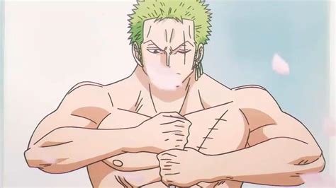 How Did Roronoa Zoro Get The Scar On His Eye In One P - vrogue.co