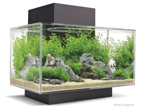 Fluval Edge - Click for Details | Bespoke Designer Aquariums & Custom Fish Tank Accessories ...