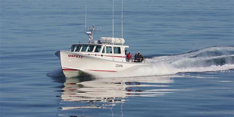 The Osprey · Boats & Waterfront · College of the Atlantic