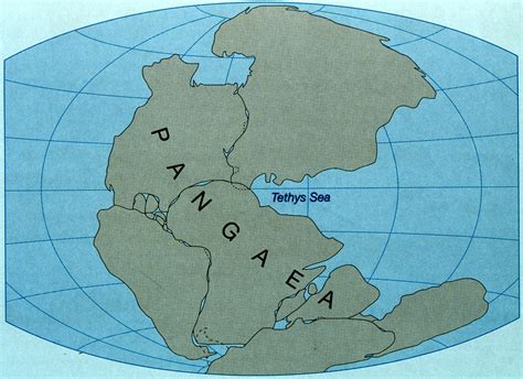 Pangaea/ Looks like a big place | Geology, Kids rugs, Pangaea