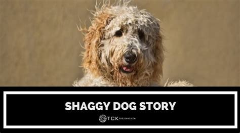 The Shaggy Dog Story: Subverting the Punchline - TCK Publishing