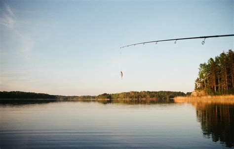 Things to Do Near Lake Fork Texas - EZ Dock Texas