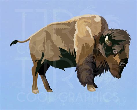 Animals Clipart North American Animals SVG Clip Art Bear - Etsy