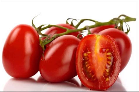 How to Grow Roma Tomatoes: Everything You Need to Know