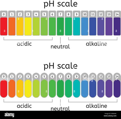 vector ph scale of acidic,neutral and alkaline value chart for acid and alkaline solutions. ph ...