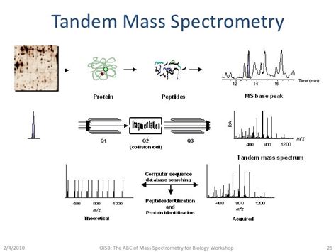 Mass Spectrometry: Protein Identification Strategies