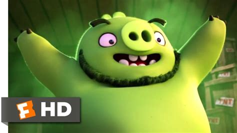 The Angry Birds Movie - Pig Parade Scene | Fandango Family - YouTube