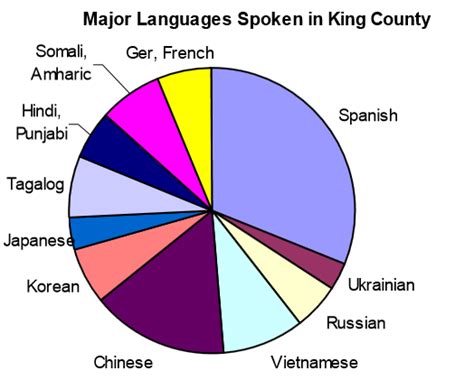 Language Diversity in America: How Seattle Stacks Up – The Seattle ...