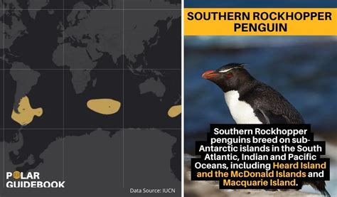 Rockhopper Penguin Habitat Map