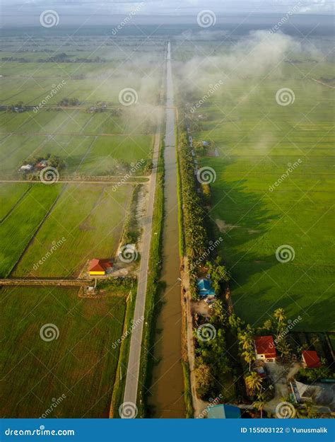 Beautiful Sunrise Over the Green Paddy Field with Clouds. Stock Photo - Image of clouds, paddy ...