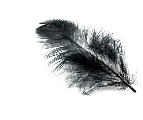 Black Feather Symbolism Meaning: An In-Depth Interpretive Guide