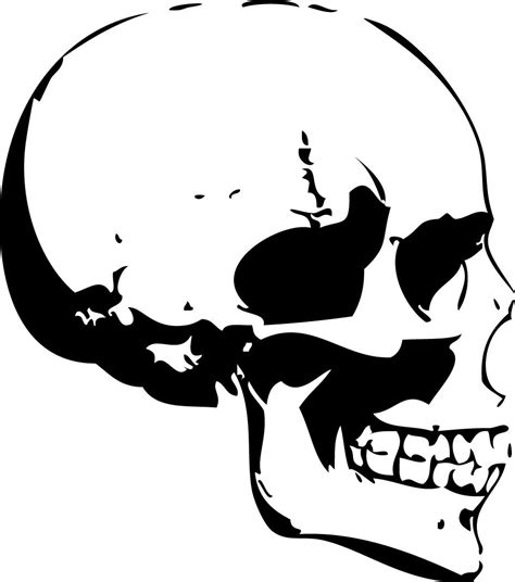 Art basics, Skull art, Skull stencil