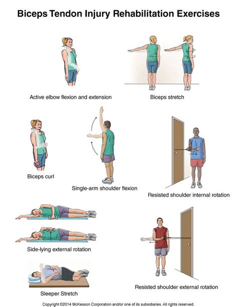 Maybe this will help. | Bicep tendonitis, Bicep tendonitis exercises ...