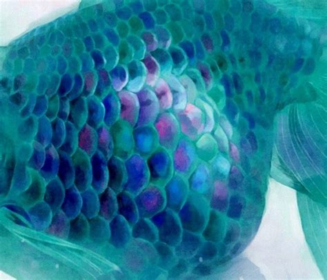 Pin by Deirdre Mckenna on Dulux comp | Fish painting, Fish scale pattern, Scale drawing