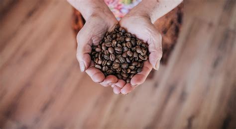 How to Grind Coffee Beans Without a Grinder - The Indoor Haven